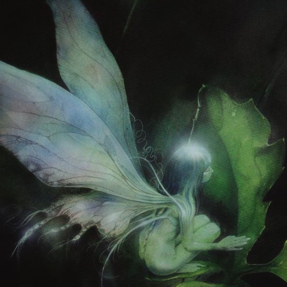 Meet your Posher, Mads - Picture 1 of 1